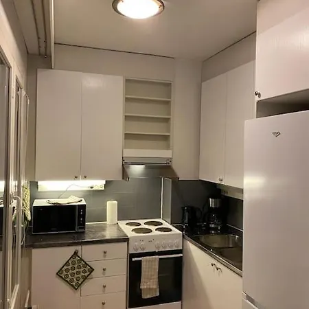 Saunallinen Yksioe Keskustassa