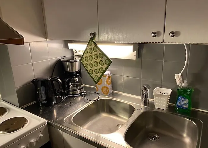 Saunallinen Yksioe Keskustassa Lägenhet