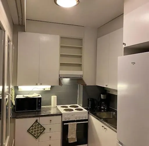 Saunallinen Yksioe Keskustassa